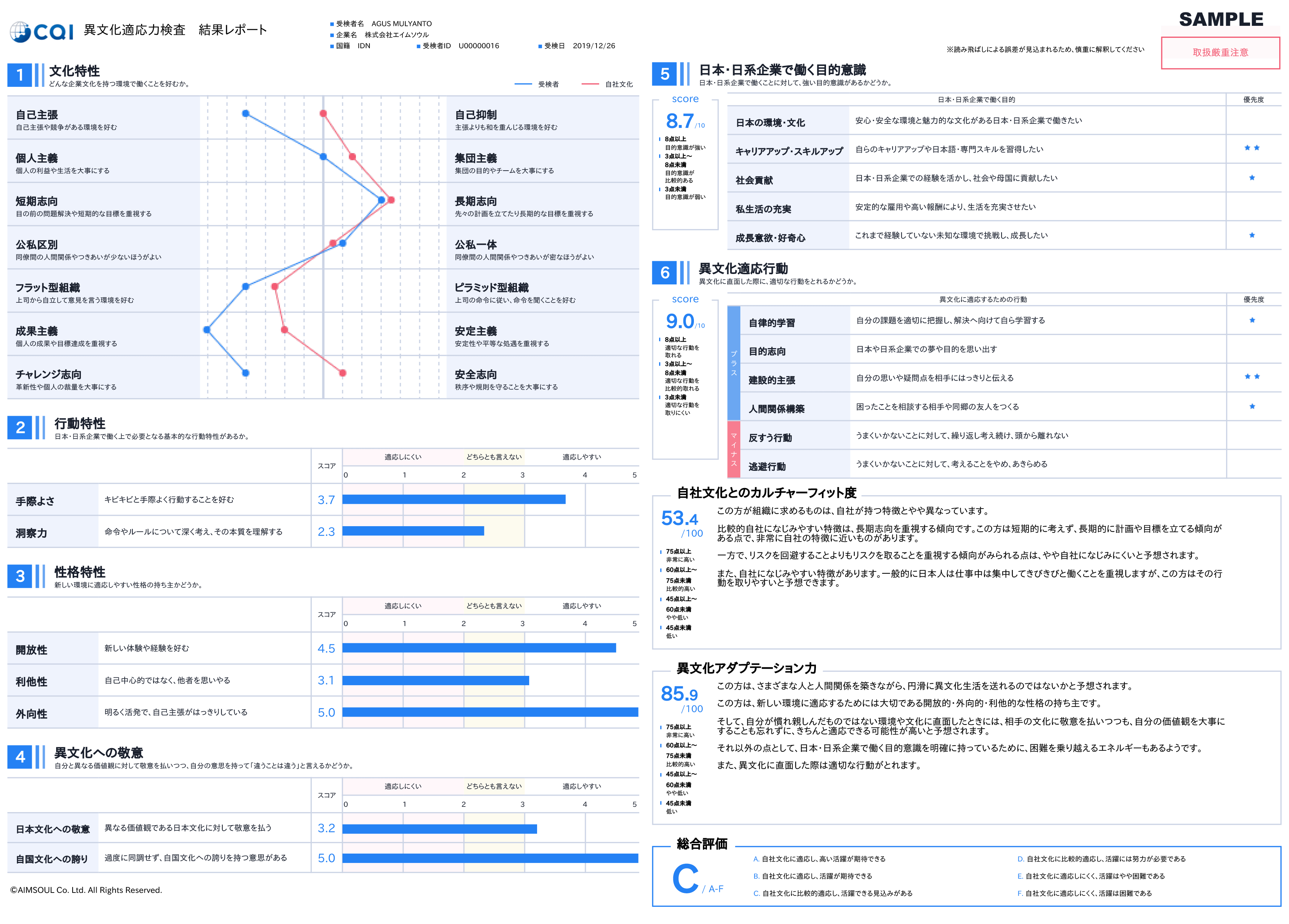 異文化適応能力検査 結果レポート