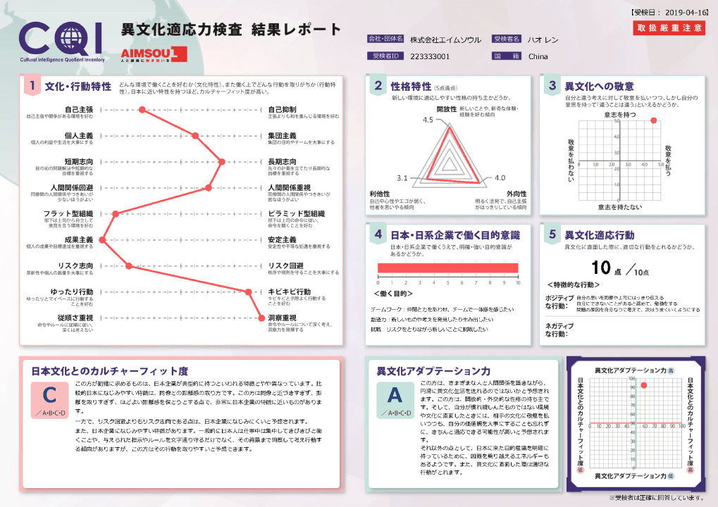 異文化適応能力検査 結果レポート