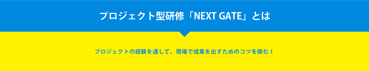 プロジェクト型研修「NEXT GATE」とは