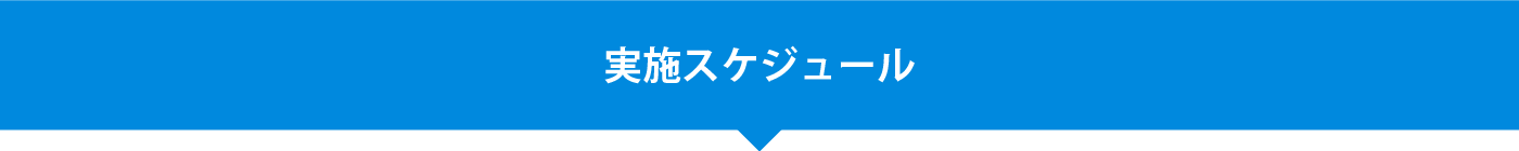 実施スケジュール