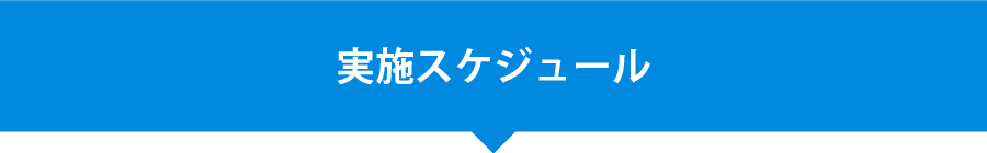 実施スケジュール